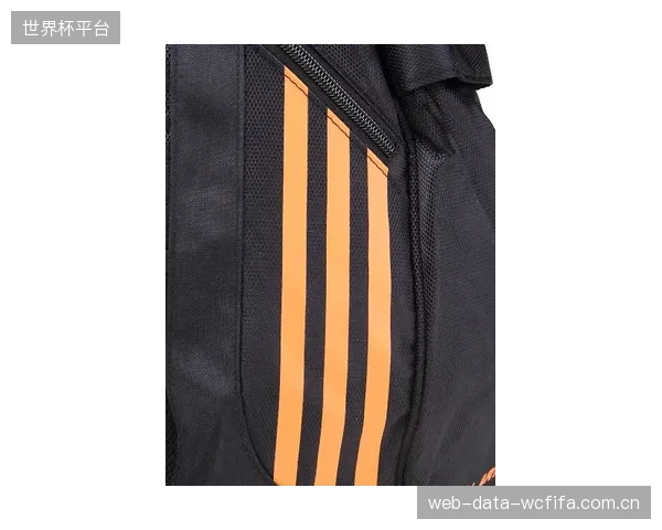 截至2023年底,阿迪达斯全系列产品中再生聚酯纤维使用率已高达99%,直指核心材料碳源 截至2023年底,阿迪达斯全系列产品中再生聚酯纤维使用率已高达99%,直指核心材料碳源